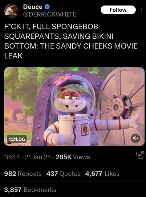 My two cents on the Sandy Cheeks Movie leak : r/spongebob